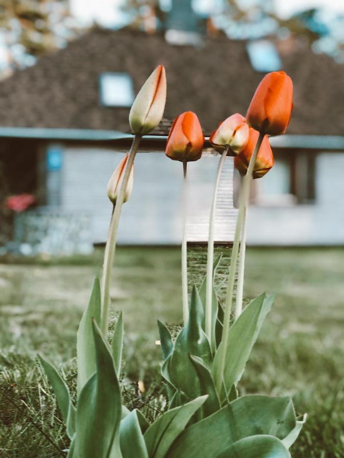 Clockhouse Cottage Saulkrasti Dış mekan fotoğraf